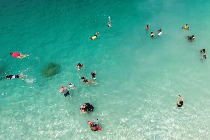 Kaneohe Sandbar Snorkeling Tour - 1st Tour - Stop 2: The Main Event (2 Hours 10 Minutes of Sandbar Time)