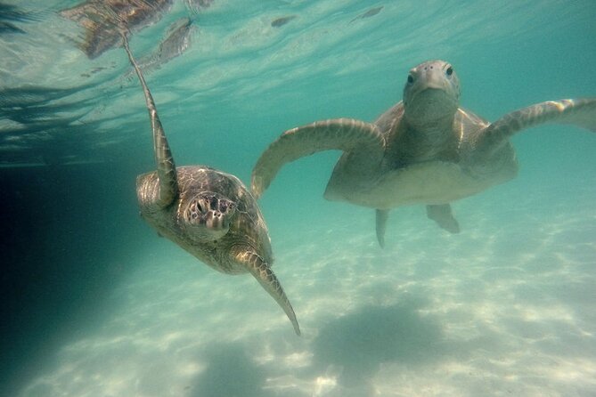 Kaneohe Sandbar Snorkeling Tour - 2nd Tour - Paddle boards and water toys: the fun part you’ll be glad you tried