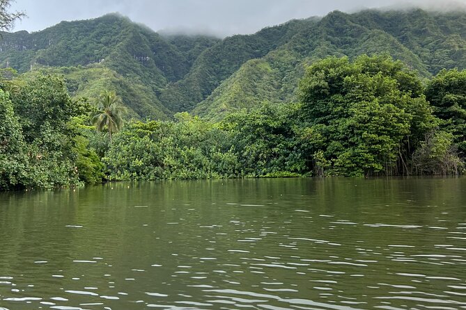 Kayaking Rainforest River on Oahu, Kahana River(Self-Guided Tour) - Key things I’d bank on before you go