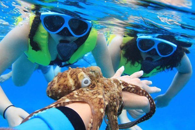 Ko Olina Catamaran Sail and Snorkel with Lunch - Why a Ko Olina catamaran feels different from “fast in, fast out”