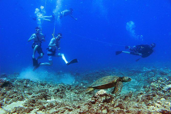 Ko Olina Catamaran Sail and Snorkel with Lunch - On-board lunch and drinks: what’s included, and how it shapes the day