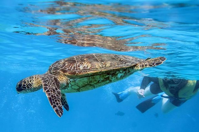 Ko Olina Catamaran Sail and Snorkel with Lunch - Price and value: what $195 really buys you