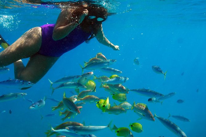 Ko Olina Catamaran Sail and Snorkel with Lunch - Timing tips: morning vs afternoon sail