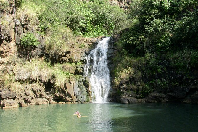 Ko Olina to North Shore Experience -Waimea Falls, Beaches & more - Key Highlights You’ll Feel on Day One