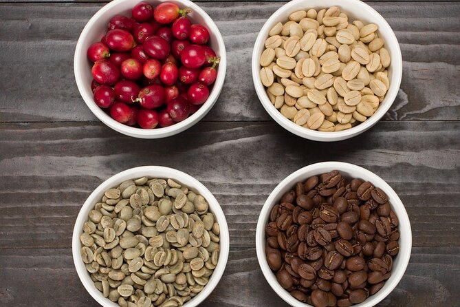 Kona Coffee Tasting: A Farm to Cup Experience - Your three-coffee flight: the tasting that trains your senses