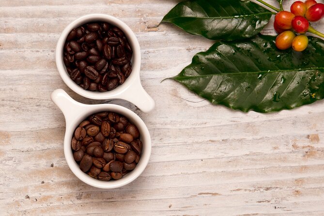 Kona Coffee Tasting: A Farm to Cup Experience - Roasting and flavor notes you can use on your next bag