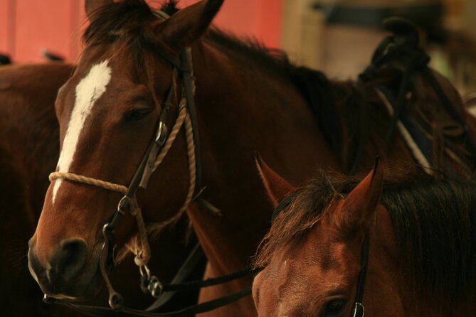 Kualoa Ranch - Horseback Walking Tour - Weather and Ride-Day Changes: Plan for the Unexpected