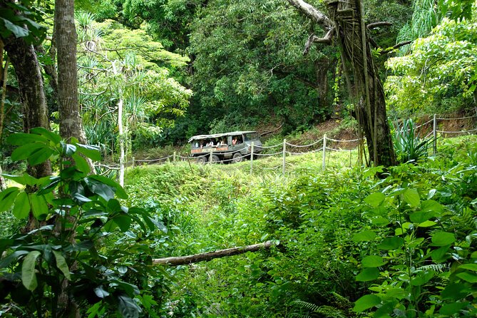Kualoa Ranch: Jungle Expedition Tour - The 1.5-Hour Flow: What Happens Once You’re On the Vehicle