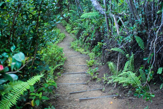 Kualoa Ranch: Jungle Expedition Tour - Should You Book This Jungle Expedition Tour on Kualoa Ranch?
