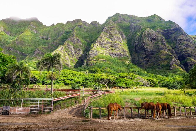 Kualoa Ranch Jurassic Adventure Tour - Kualoa Jurassic Safari at a Glance: What You’re Really Buying
