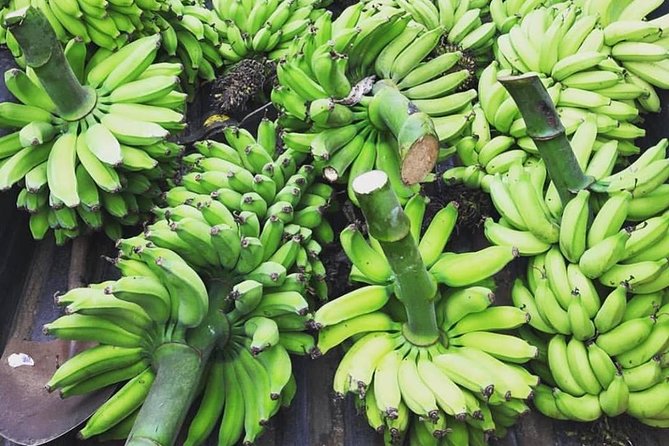 Kualoa Ranch - Kualoa Grown Tour - Orchards and gardens: seasonal fruit tasting you can actually participate in