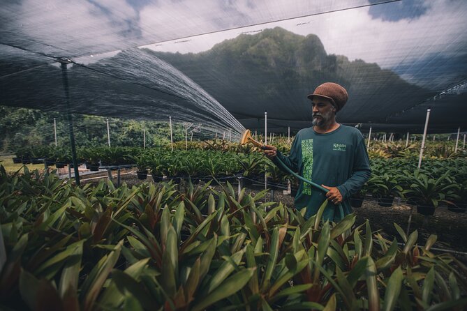 Kualoa Ranch - Kualoa Grown Tour - Farming details that make Oahu feel real
