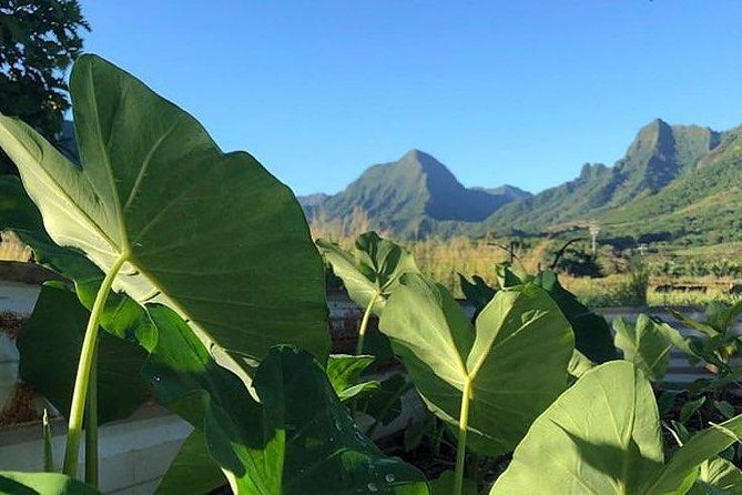 Kualoa Ranch - Kualoa Grown Tour - Animals, ranch life, and the movie-industry twist