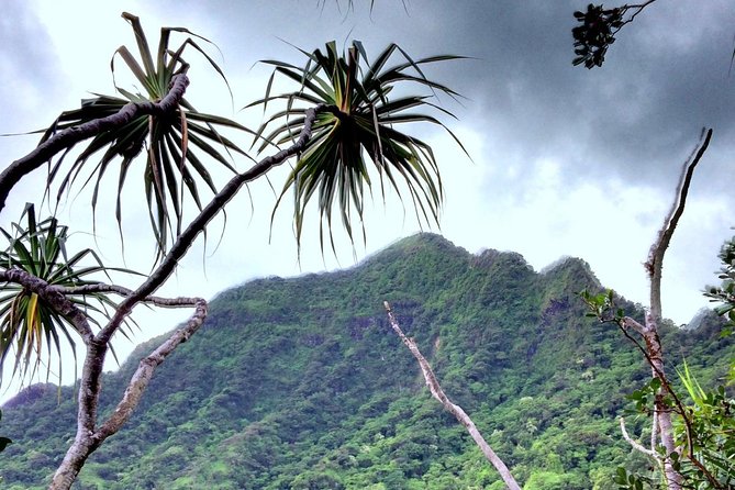 Kualoa Ranch: Novice E-Bike - Bike Fit: Age, Height, Weight, and One Rider Per Bike