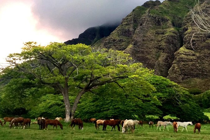 Kualoa Ranch: Novice E-Bike - Guides Make the Tour: From Jessica to PJ and Caitlin
