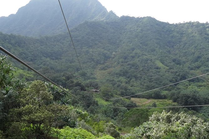 Kualoa Ranch - Zipline Tour - Timing and logistics: one meeting point, several tour times