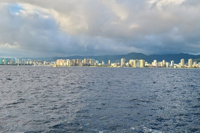 Late Breakfast Cruise in Honolulu - Wildlife spotting chances: whales, dolphins, and turtles (with realistic odds)