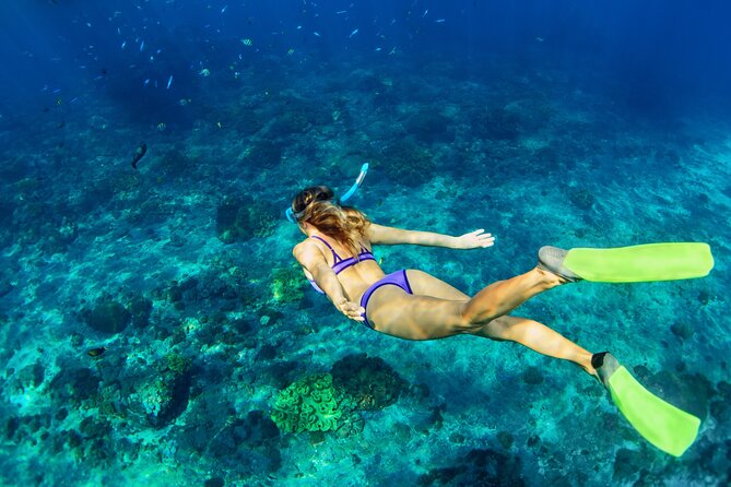 Luxury Diamond Head Sunset Sail - Key highlights worth getting excited about
