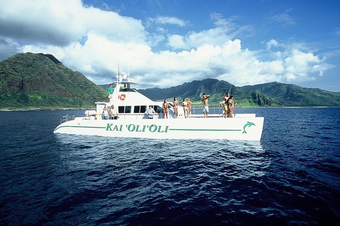 Luxury Snorkel Cruise, Local Buffet with Whale & Dolphin Watch - The secret snorkel stop: gear, instruction, and how it usually goes