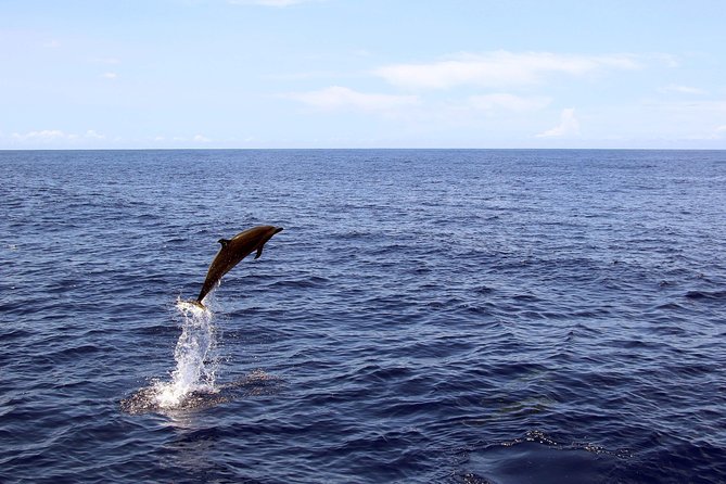 Luxury Snorkel Cruise, Local Buffet with Whale & Dolphin Watch - Onboard comfort details that actually matter