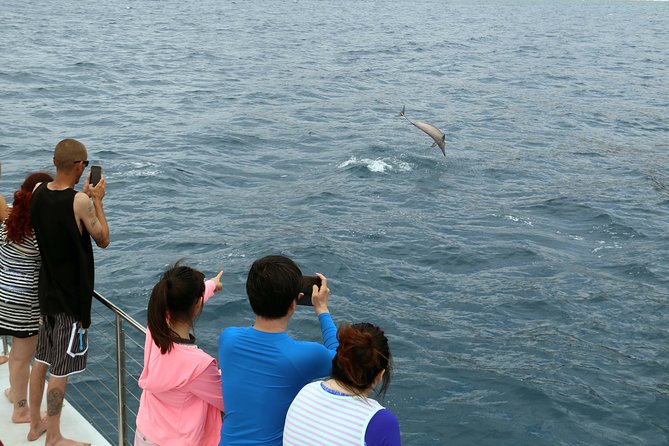 Luxury Snorkel Cruise, Local Buffet with Whale & Dolphin Watch - Price and value: why $174 can make sense here