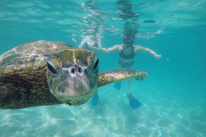 Mahina Hawaii Full Day Adventure - Why this tour feels different from a typical Oahu day