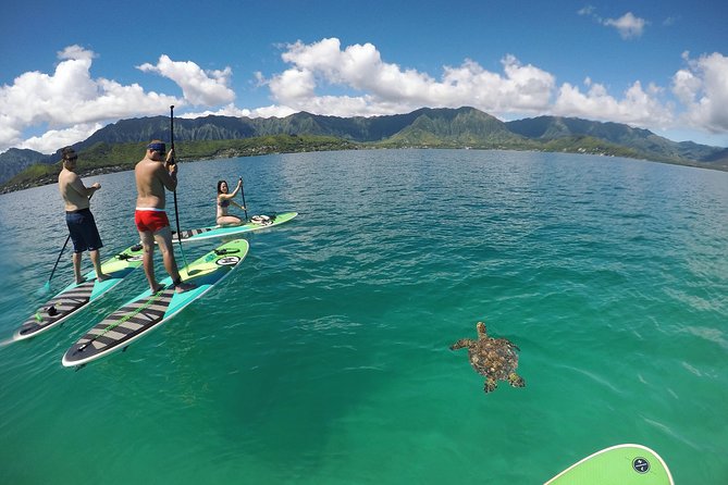 Mahina Hawaii Full Day Adventure - North Shore and Waimea: surf culture plus big-wave viewpoints
