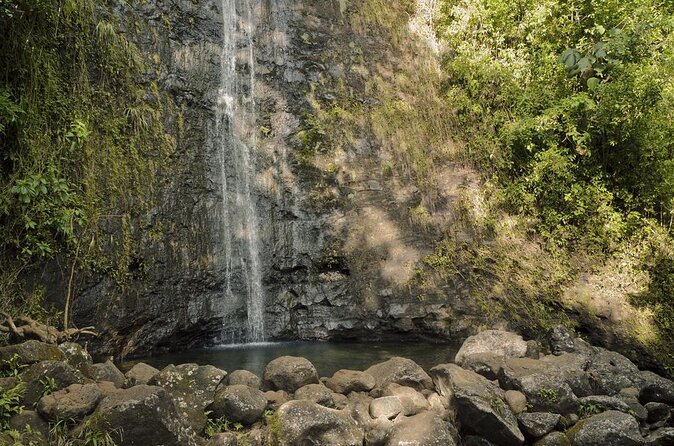 Manoa Falls-Electric Bike to Hike Experience Local meal included - Key highlights worth planning for