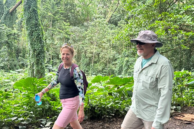 Manoa Falls-Electric Bike to Hike Experience Local meal included - The e-bike to the trailhead: making the hike doable