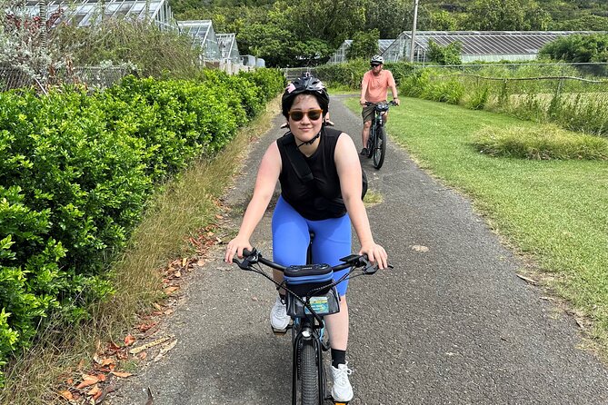 Manoa Falls-Electric Bike to Hike Experience Local meal included - Manoa Falls: the 150-foot payoff and the safety reality