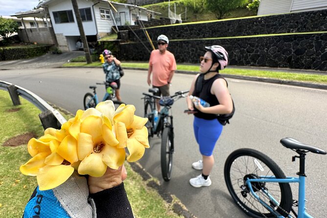 Manoa Falls-Electric Bike to Hike Experience Local meal included - Kapiolani Park and the Ala Wai area: where the ride gives you real context