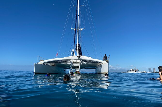 Moana’s Swim’n’Sail Cocktail Cruise Along the Waikiki Coast - Sailing From Kewalo Basin: the quick path out of Waikiki traffic