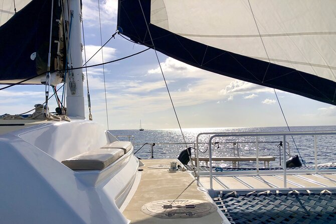 Moana’s Swim’n’Sail Cocktail Cruise Along the Waikiki Coast - The swim’n’sail part: what the jump off feels like