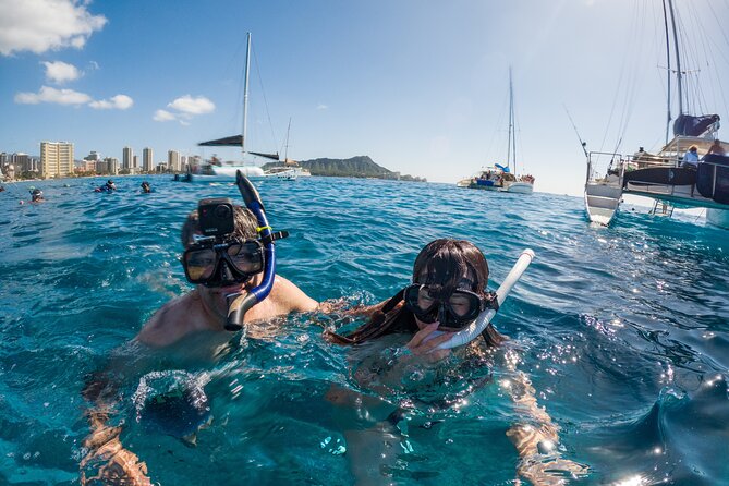 Moana’s Waikīkī Grand Guided Turtle Snorkel & Sailing Adventure - Price and value: is $76.49 worth it?