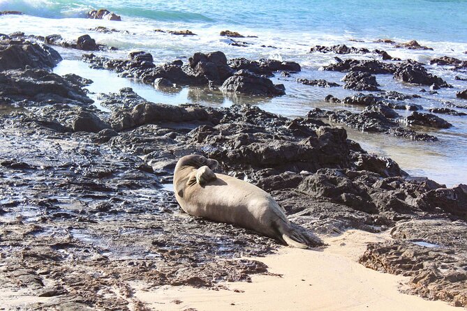 Mokulua Islands Self-Guided Kayak Adventure - Quick Practical Tips Before You Go