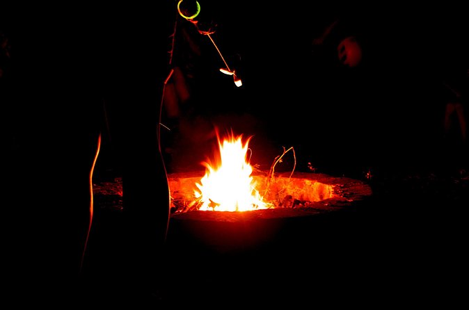 Night Zipline: 3 Zipline Adrenaline Adventure - Who This Night Zipline Suits Best (and Who Should Think Twice)