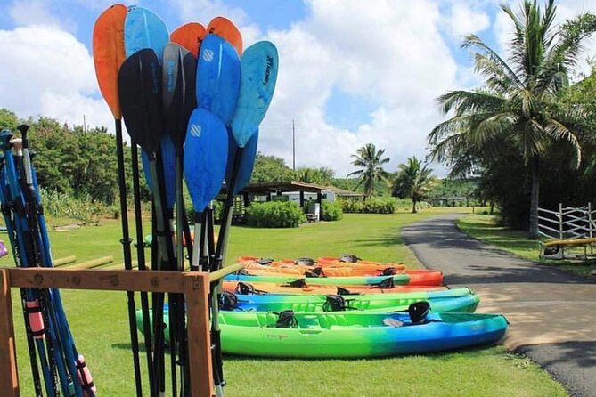North Shore Farm: Anahulu River, Kayak-Sup, Turtles, Lunch & More - Cool-Down Treats: Fresh Coconuts, Açai Bowls, and Shave Ice