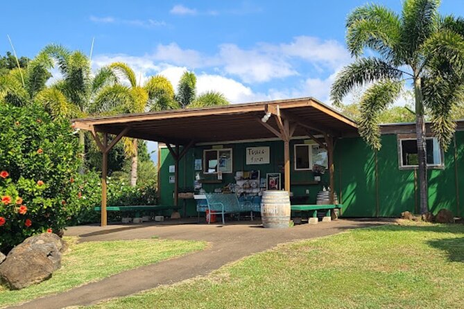 North Shore Farm: Anahulu River, Kayak-Sup, Turtles, Lunch & More - Price and Scheduling: Does $80 Per Person Feel Fair?