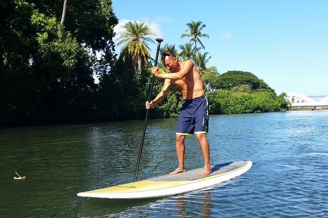 North Shore Stand-Up Paddleboard Lesson - Banzai Pipeline and North Shore Stops: Famous Coast Views with a Purpose