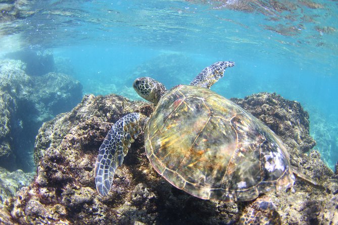 North Shore Stand-Up Paddleboard Lesson - Duration and Pace: 2 Hours That Don’t Feel Rushed