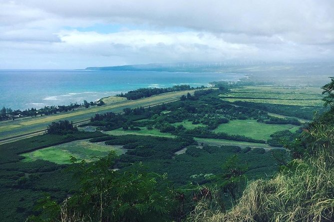 North Shore Tour Guide Hike - Quick hits you’ll care about