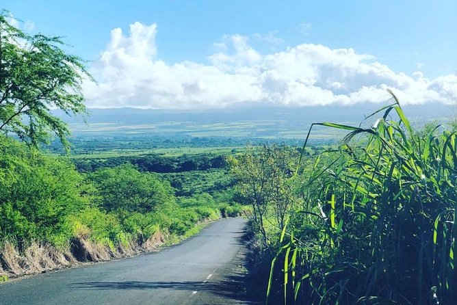 North Shore Tour Guide Hike - What the walk feels like along Oahu’s North Shore