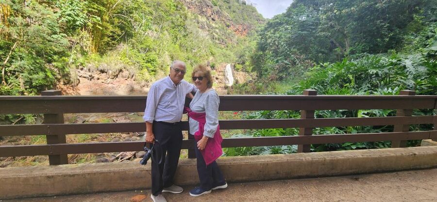 Oahu: 5 Hour Exclusive Car & Driver - ETOHI - Should you book the ETOHI exclusive car & driver?