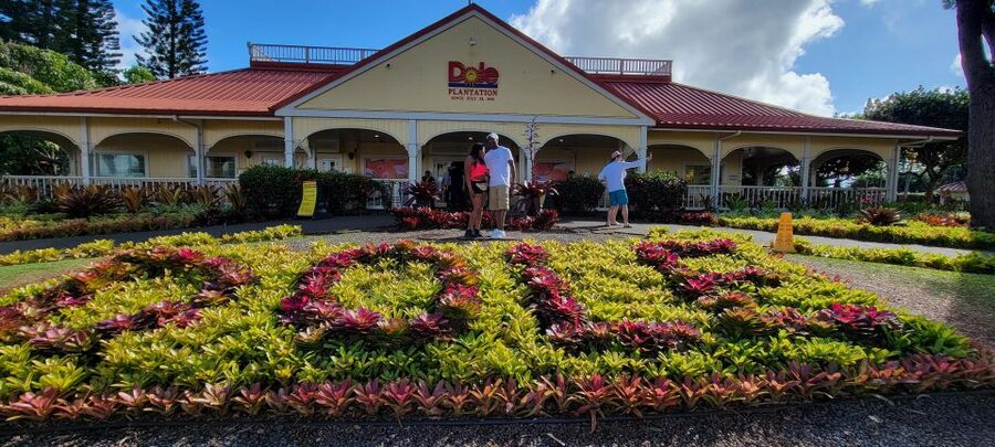 Oahu: 5 Hour Exclusive Car & Driver - ETOHI - The driver experience: less stress, more attention at each stop