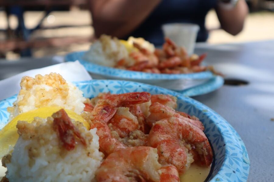 Oahu: Active Circle Island Tour - Macadamia farm, China Man’s Hat, and lunch at Giovanni’s shrimp truck