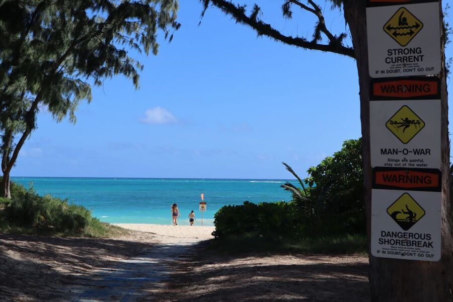 Oahu: Active Circle Island Tour - Sharks Cove snorkeling: the main event, with gear taken care of