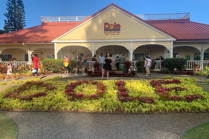 Oahu Allstar Circle Island Tour: Dole, Turtles, Blowhole, Fun - Sunset Beach, Waimea Bay, and Haleiwa: Big-Wave Oahu by the Roadside
