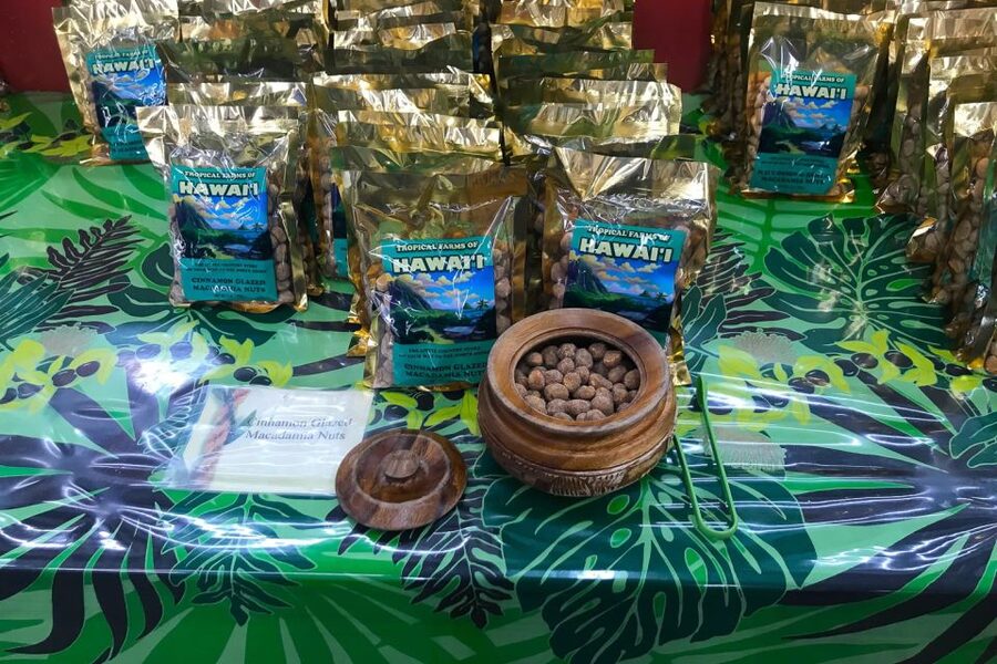 Oahu: Beauty and the Feast Circle Island Experience - Key highlights I’d plan my day around