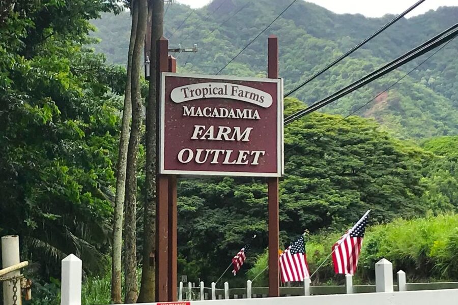 Oahu: Beauty and the Feast Circle Island Experience - Price and value: is $172 for 8 hours a good deal?