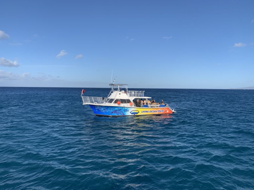 Oahu: BYOB or Cash Bar Waikiki Sunset Cruise - Key Things I’d Focus On